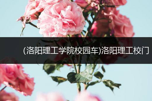 （洛阳理工学院校园车)洛阳理工校门