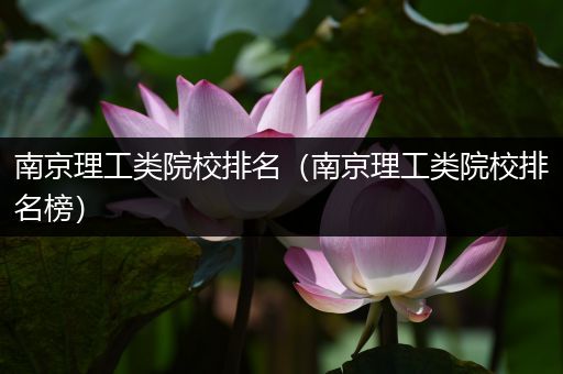 南京理工类院校排名（南京理工类院校排名榜）