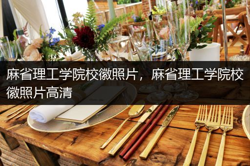 麻省理工学院校徽照片，麻省理工学院校徽照片高清