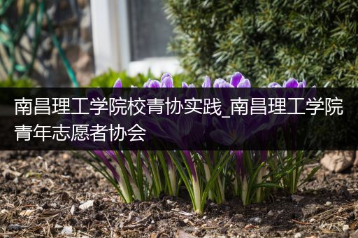 南昌理工学院校青协实践_南昌理工学院青年志愿者协会