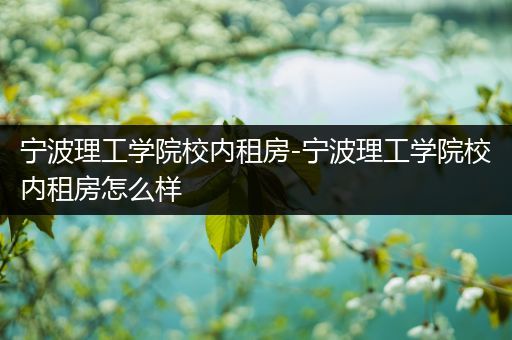 宁波理工学院校内租房-宁波理工学院校内租房怎么样