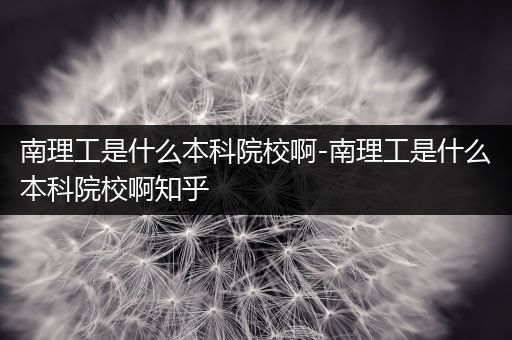 南理工是什么本科院校啊-南理工是什么本科院校啊知乎