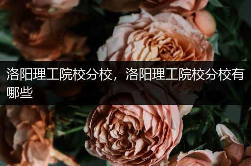 洛阳理工院校分校，洛阳理工院校分校有哪些
