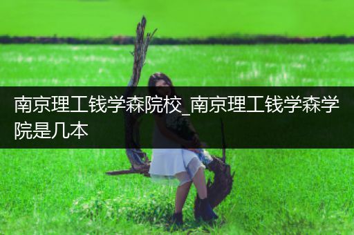 南京理工钱学森院校_南京理工钱学森学院是几本