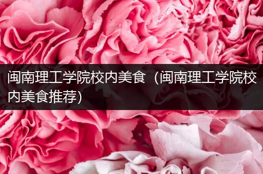 闽南理工学院校内美食（闽南理工学院校内美食推荐）