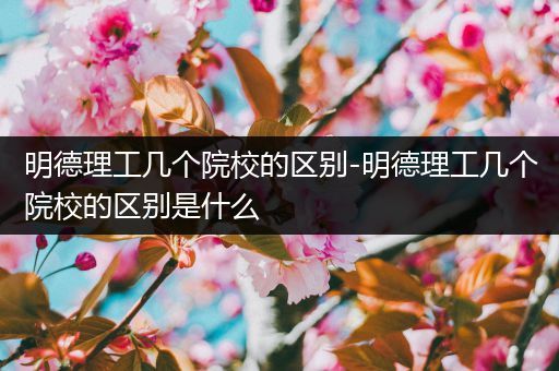 明德理工几个院校的区别-明德理工几个院校的区别是什么