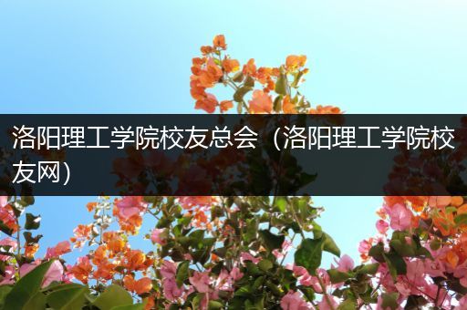 洛阳理工学院校友总会（洛阳理工学院校友网）