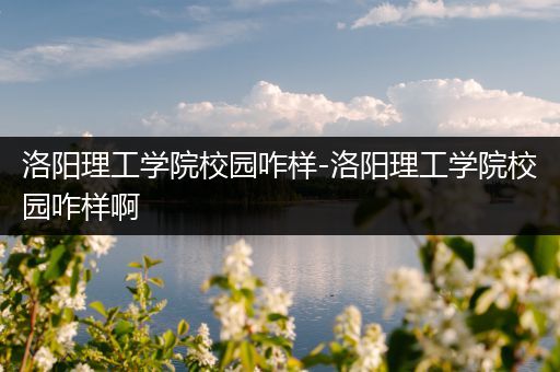 洛阳理工学院校园咋样-洛阳理工学院校园咋样啊
