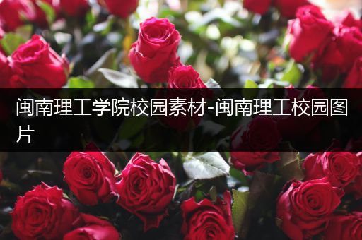 闽南理工学院校园素材-闽南理工校园图片
