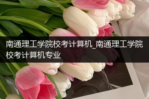 南通理工学院校考计算机_南通理工学院校考计算机专业