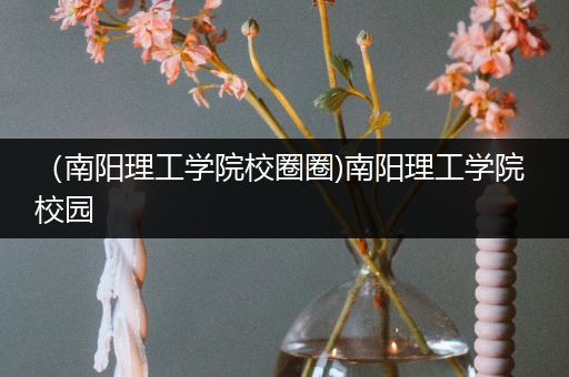 （南阳理工学院校圈圈)南阳理工学院 校园