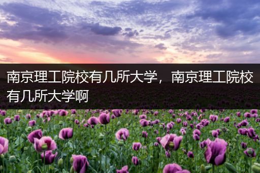 南京理工院校有几所大学，南京理工院校有几所大学啊