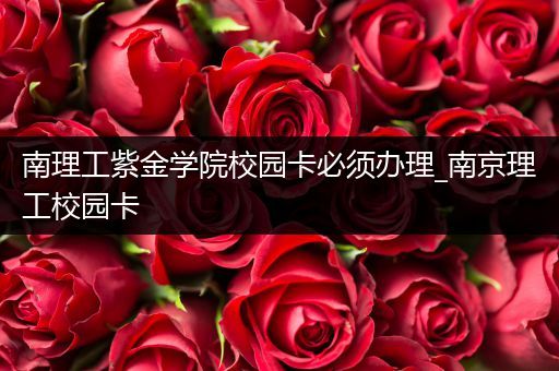 南理工紫金学院校园卡必须办理_南京理工校园卡
