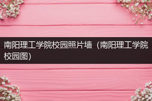 南阳理工学院校园照片墙（南阳理工学院校园图）