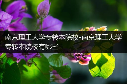 南京理工大学专转本院校-南京理工大学专转本院校有哪些