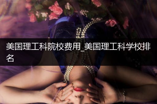 美国理工科院校费用_美国理工科学校排名