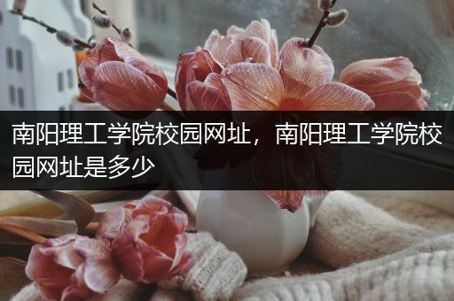 南阳理工学院校园网址，南阳理工学院校园网址是多少