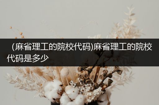 （麻省理工的院校代码)麻省理工的院校代码是多少