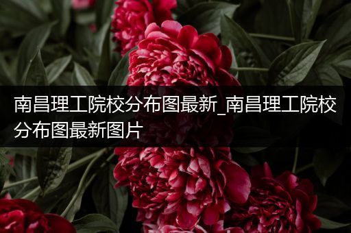 南昌理工院校分布图最新_南昌理工院校分布图最新图片