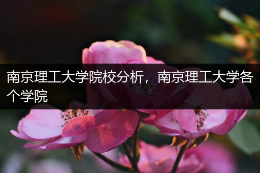 南京理工大学院校分析，南京理工大学各个学院