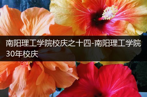 南阳理工学院校庆之十四-南阳理工学院30年校庆