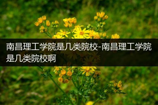 南昌理工学院是几类院校-南昌理工学院是几类院校啊