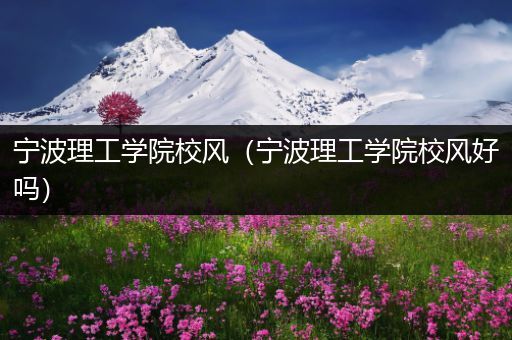 宁波理工学院校风（宁波理工学院校风好吗）