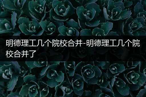 明德理工几个院校合并-明德理工几个院校合并了