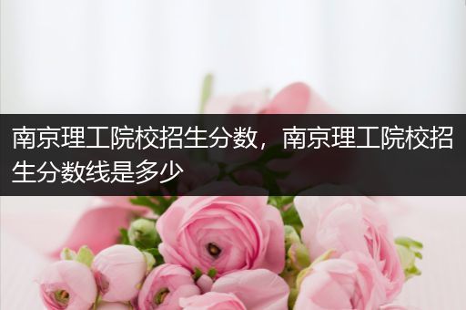 南京理工院校招生分数，南京理工院校招生分数线是多少