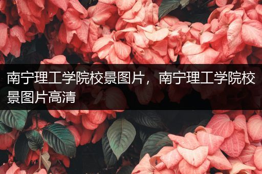 南宁理工学院校景图片，南宁理工学院校景图片高清