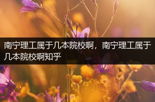 南宁理工属于几本院校啊，南宁理工属于几本院校啊知乎