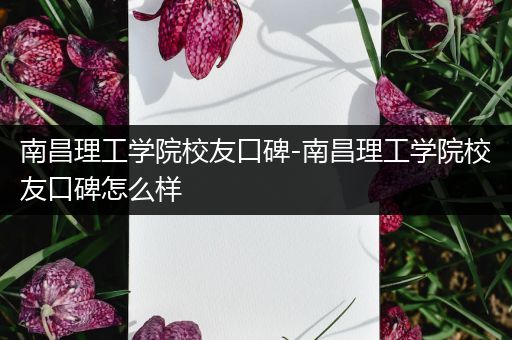 南昌理工学院校友口碑-南昌理工学院校友口碑怎么样
