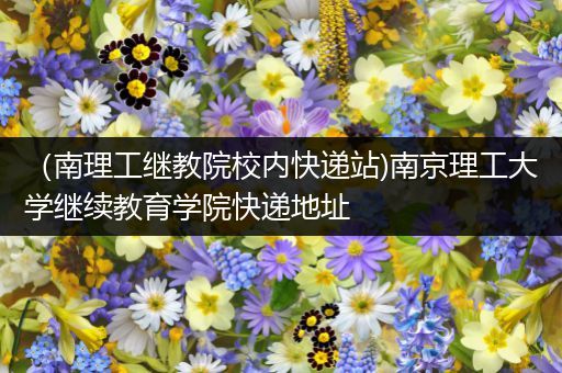 （南理工继教院校内快递站)南京理工大学继续教育学院快递地址