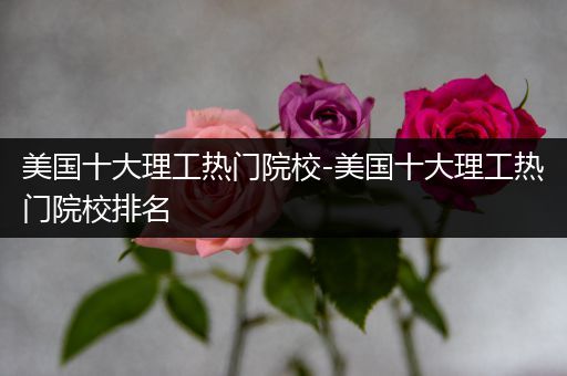 美国十大理工热门院校-美国十大理工热门院校排名