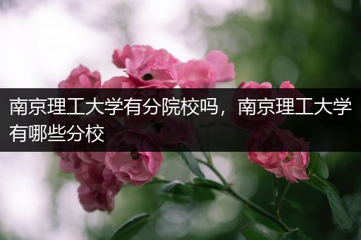 南京理工大学有分院校吗，南京理工大学有哪些分校