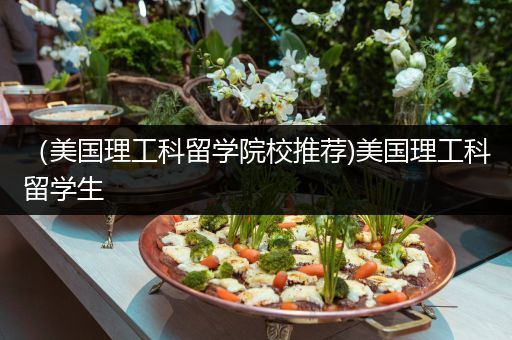 （美国理工科留学院校推荐)美国理工科留学生