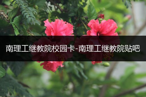 南理工继教院校园卡-南理工继教院贴吧
