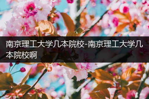南京理工大学几本院校-南京理工大学几本院校啊