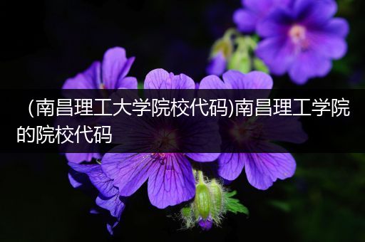 （南昌理工大学院校代码)南昌理工学院的院校代码