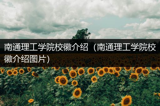 南通理工学院校徽介绍（南通理工学院校徽介绍图片）