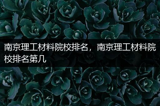 南京理工材料院校排名，南京理工材料院校排名第几