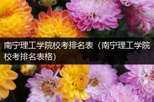 南宁理工学院校考排名表（南宁理工学院校考排名表格）