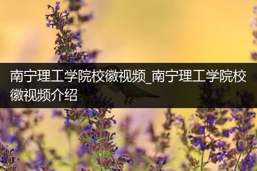 南宁理工学院校徽视频_南宁理工学院校徽视频介绍
