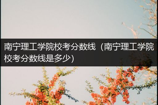 南宁理工学院校考分数线（南宁理工学院校考分数线是多少）