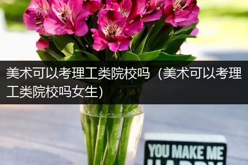 美术可以考理工类院校吗（美术可以考理工类院校吗女生）