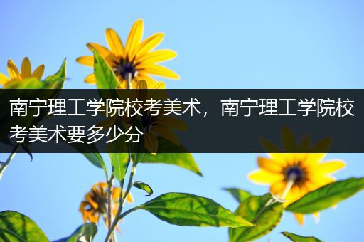 南宁理工学院校考美术，南宁理工学院校考美术要多少分