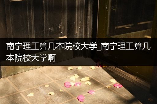 南宁理工算几本院校大学_南宁理工算几本院校大学啊