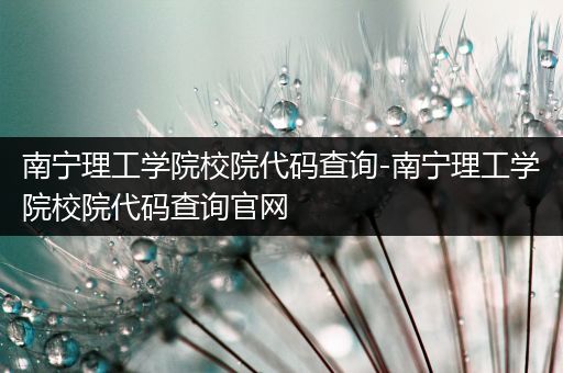 南宁理工学院校院代码查询-南宁理工学院校院代码查询官网