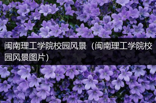 闽南理工学院校园风景（闽南理工学院校园风景图片）