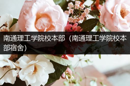 南通理工学院校本部（南通理工学院校本部宿舍）